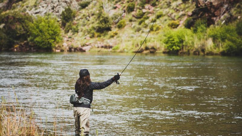Fly Fishing 101: What You Need To Know About Fly Fishing In Colorado