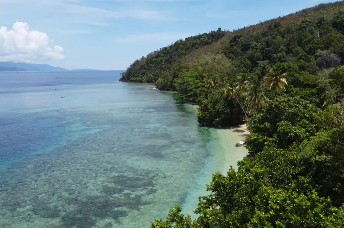 Beach Tours in Papua that Offer Exotic Beauty