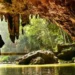 Pindul Cave, Adventure Along the Underground River in Gunung Kidul